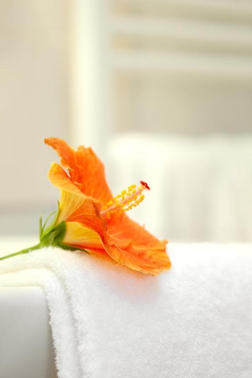 Hotel Le Clos Roussillon Pres De Sarlat Vitrac  Rom bilde